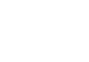 Logo Argos