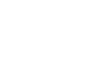 Logo Axxes