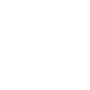 Logo Egis